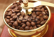 Кофе моносорт "Никарагуа Хинотега"